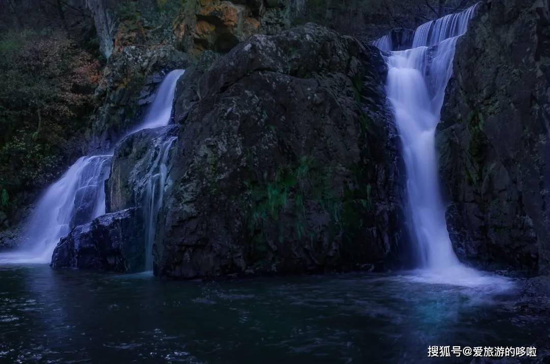 逃离野猫森林