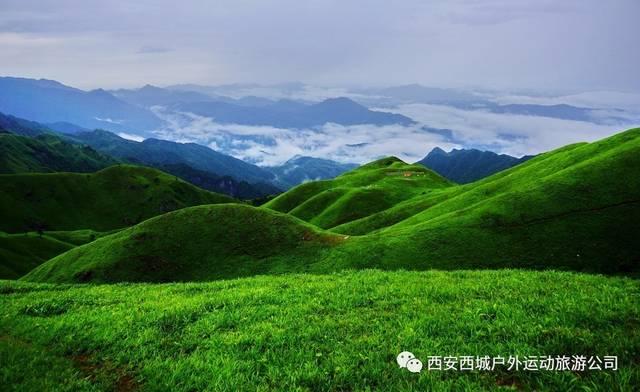 怎样炖红烧排骨游戏画面